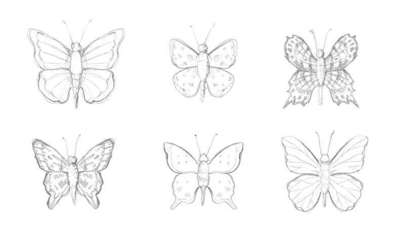 ako nakresliť motýľa