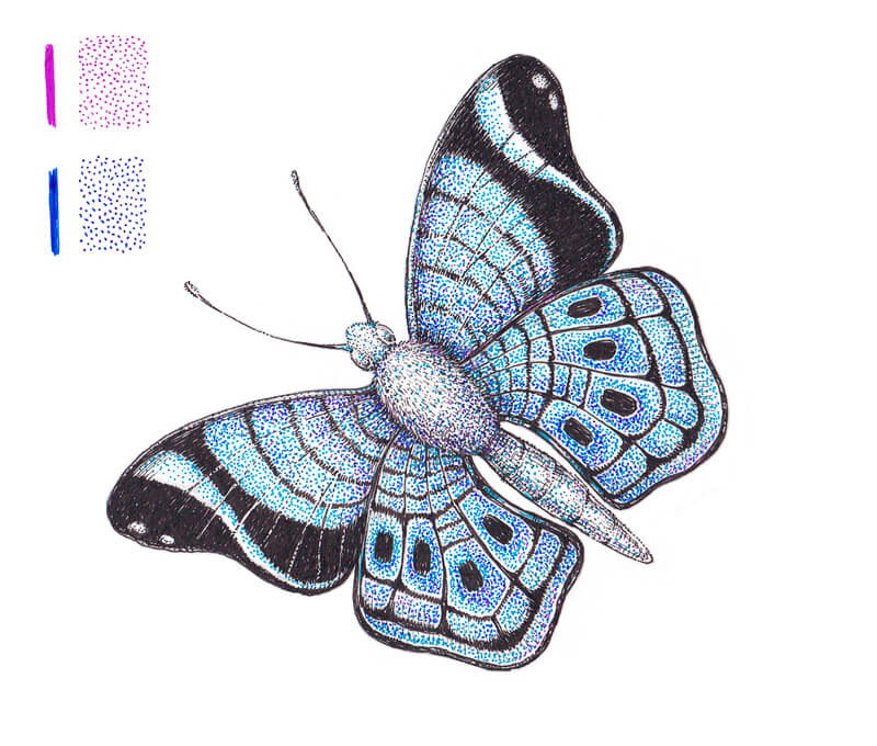 namaľuj si motýľa
