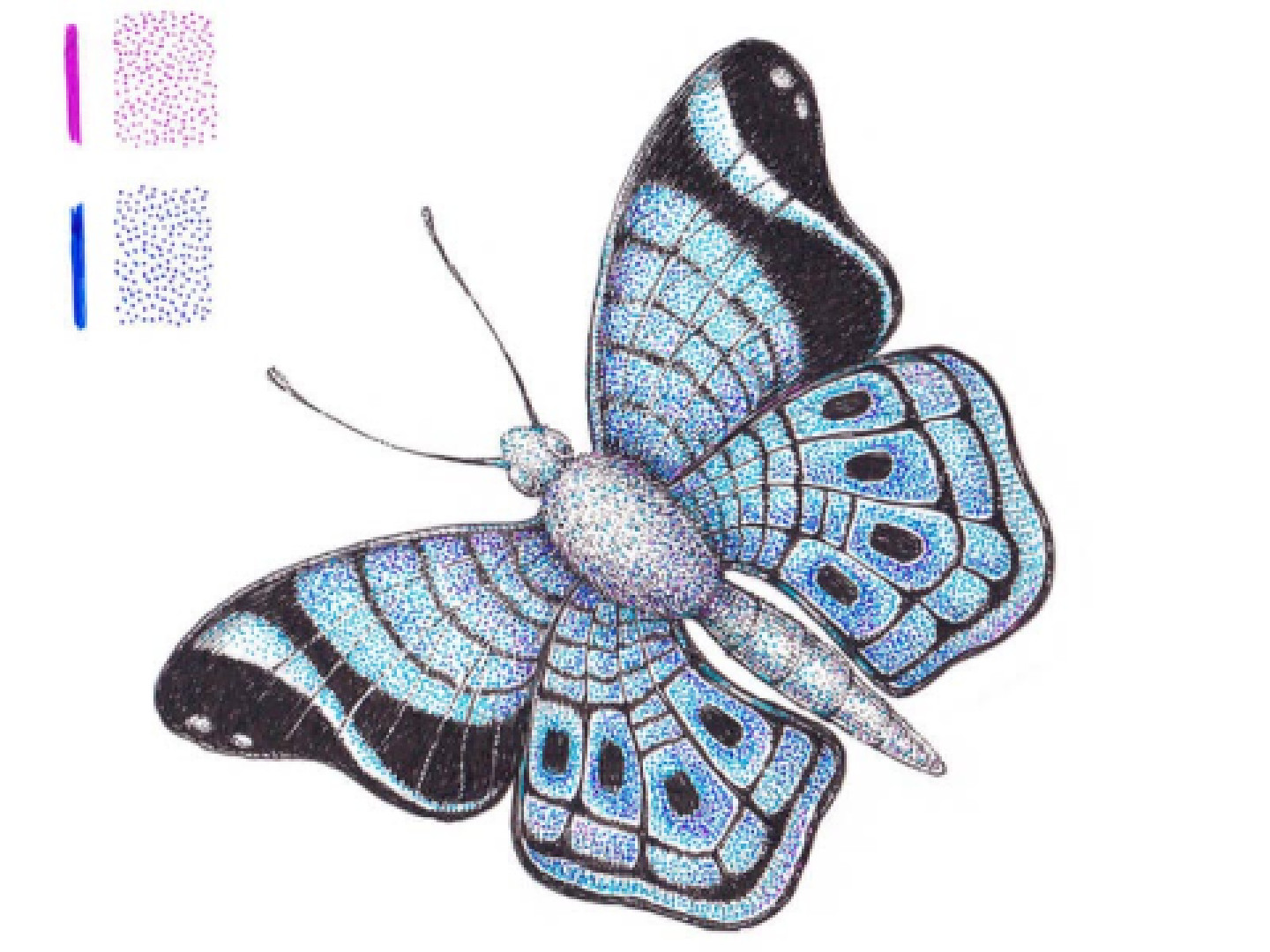 Ako nakresliť nádherného motýľa?