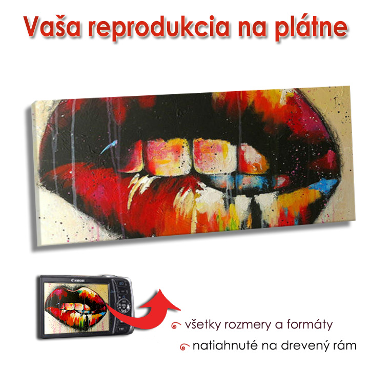 Reprodukcia na plátne - PANORÁMA