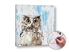 Maľovanie podľa čísel MUDRA Owl | nízka náročnosť